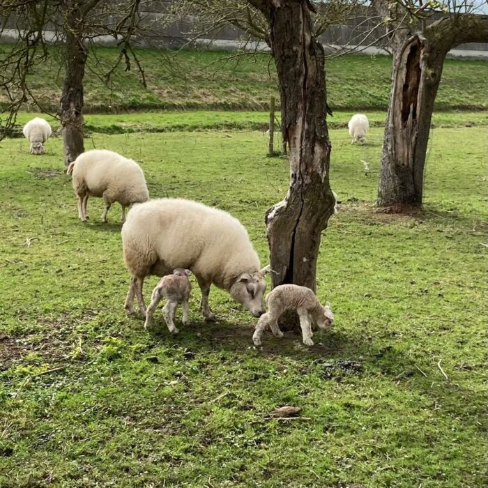 Het is LENTE