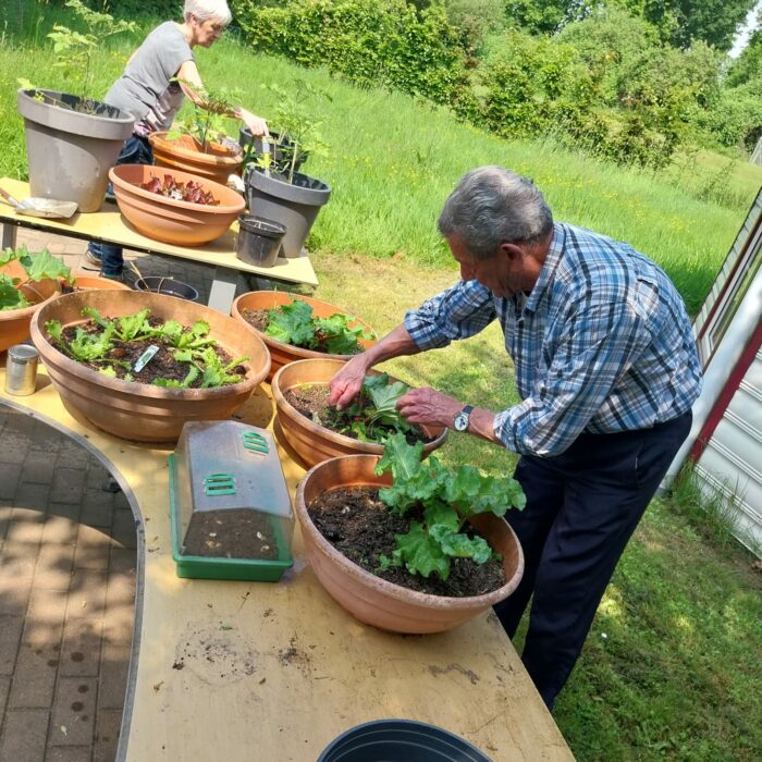 Moestuin op hoogte